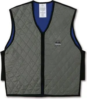 Ergodyne Chill-Its 6665 Evaporative Cooling Vest Gray Large 12544