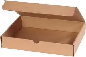 Survivor Tyvek USPS First Class Mailer 10 x 13 White 100/Box R1590