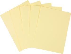TRU RED 8.5 x 11 Copy Paper 20 lbs. 92 Brightness 500 Sheets/Ream 10 Reams/Carton  (TR56958) 135848/TR56958 