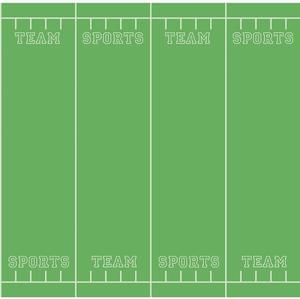 Pacon Fadeless 48 X 50 Roll Team Sports 56275