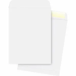 Business Source Catalog Envelopes Plain 28Lb. 10"x13" 250/PK WE 42103