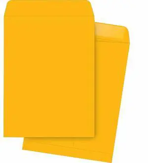 Business Source Catalog Envelopes Plain 10"x13" 250/BX Kraft 42101