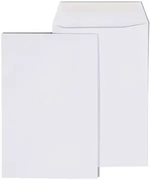 Business Source Double Window Envelopes No. 9 3-7/8"x8-7/8" 500/BX White 36681