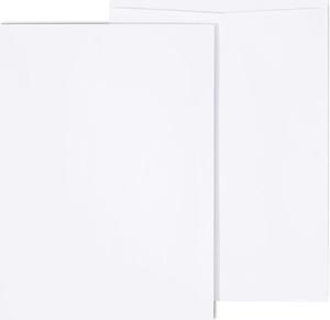 Staples Gummed Catalog Envelopes 9"L x 12"H White 250/Box (486949R)