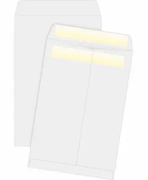 Business Source Press/Seal Catalog Envelopes 28lb 6"x9" 100/BX WE Wove 04647