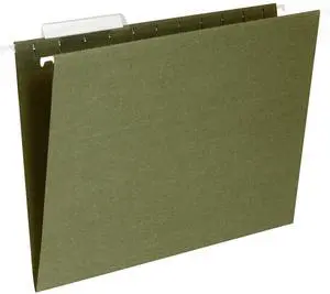 Business Source Hanging Folder 1/3 Tab Cut Letter 25/BX Standard Green 17532