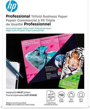 HP Professional Trifold Business Glossy Brochure 4WN12A