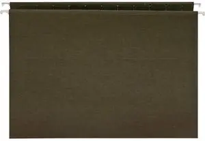 Business Source Hanging Folders w/o Tabs Letter 25/BX Green 26528
