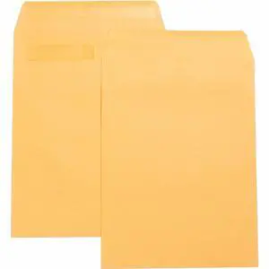 Business Source Press/Seal Catalog Envelopes Plain 9"x12" 100/BX Kraft 42123