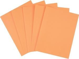 Staples Brights Multipurpose Colored Paper 20 lb 85 x 11 Orange 500Ream 5 ReamsCarton 25208A