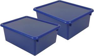 13 x 13 storage bins with lids