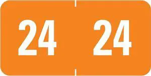 Smead ETS 24 Color-Coded Year Label 0.5" x 1" Orange 250 Labels/Pack (67924)