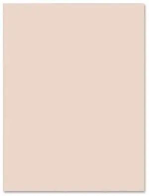 Pacon Tagboard Paper