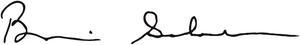 Secure-I-D Security Stamp Obscures Area 2 1/2 x 5/16 Black