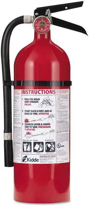 408-21005779 4 lbs. 2A:10-B:C Rated Rechargeable Fire Extinguisher