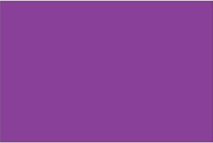 Tape Logic Inventory Rectangle Labels 2" x 3" Purple 500/Roll