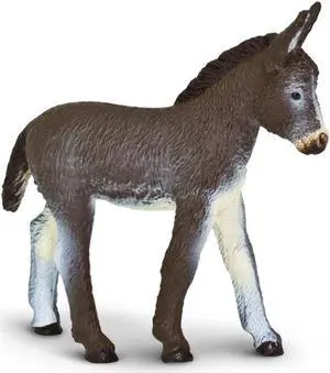 Donkey Foal Safari Farm Safari Ltd