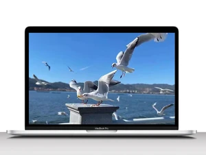 Apple MacBook Pro 13" 2020 2.3 GHz Core i7 (I7-1068NG7) 32GB RAM 1TB SSD Storage Iris Plus Graphics True Tone Display 2560x1600 A2251 MWP82LL/A Apple MacBook Pro 13" 2020 2.3 GHz Core i7 (I7-1068NG7) 32GB RAM 1TB SSD Storage Iris Plus Graphics True Tone Display 2560x1600 A2251 MWP82LL/A