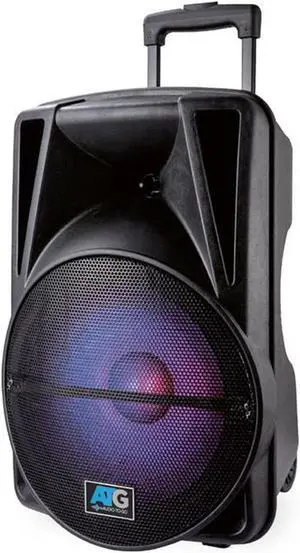 ATG Audio 12" Portable Bluetooth Pairing Speaker - ATGDJ12SP