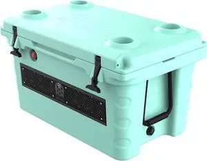 Wet Sounds Stealth SHIVR55 High Output Audio Cooler Speaker System - Seafoam