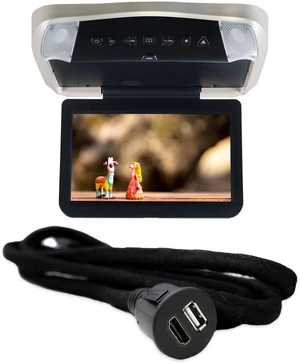 Voxx VODP10 10.1in DVD Overhead with HDH12 HDMI USB Extension Voxx VODP10 10.1in DVD Overhead with HDH12 HDMI USB Extension