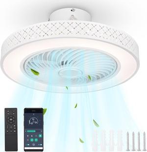 DELight 20" Enclosed Ceiling Fan Low Profile Dimmable LED Light APP & Remote Control Lamp Smart timing Home Kitchen