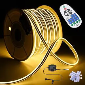 DELight 150FT Warm White Neon Rope Lights with Remote Control AC 110V IP65 Waterproof Cuttable Dimmable Flexible DIY DEL-D150W