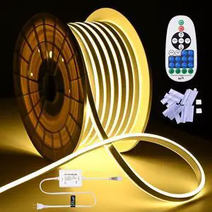 DELight 100FT Warm White Neon Rope Lights with Remote Control AC 110V IP65 Waterproof Cuttable Dimmable Flexible DIY DEL-D100W