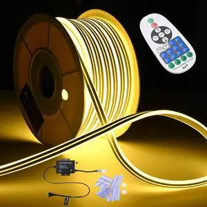 DELight 100FT Warm White Neon Rope Lights with Remote Control AC 110V IP65 Waterproof Cuttable Dimmable Flexible DIY DEL-D100W