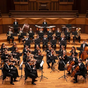 Yescom 20 Packs Music Sheet Stand 37"-61" Tiltable Widened Stable Tripod Base Storage Tray Carrying Bag for Orchestras Yescom 20 Packs Music Sheet Stand 37"-61" Tiltable Widened Stable Tripod Base Storage Tray Carrying Bag for Orchestras