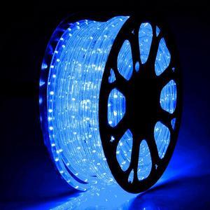 DELight 150 Ft. 2 Wire LED Rope Light Holiday Valentine Party Decorative Lighting Blue