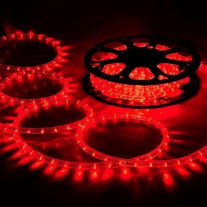 DELight 150 Ft 2 Wire LED Rope Light Holiday Valentine Party Decorative Lighting Red