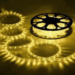 DELight 150 Ft. 2 Wire LED Rope Light Holiday Valentine Decorative Lighting Warm White