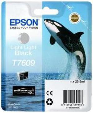 Epson UltraChrome HD T760 Original Ink Cartridge T760920