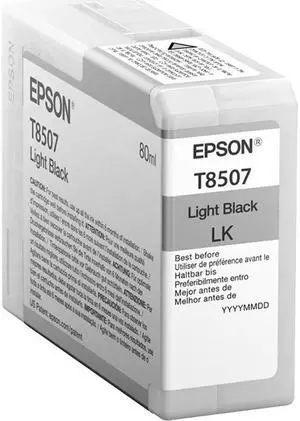 Epson Ultrachrome Hd T850 Ink Cartridge - Light Black