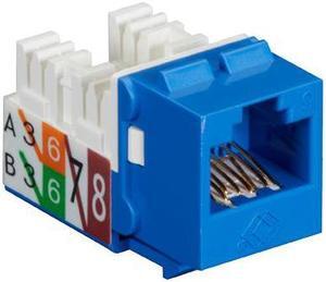Black Box FMT630-R3 Gigatrue2 Cat6 Jack, Universal Wiring, Component Level, Single Pack, Blue