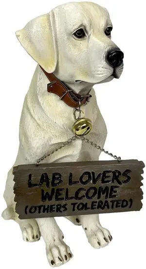 Labrador Retriever Garden Statue with Reversible Welcome Sign, Resin Dog Figurine, Hand-Painted Lab Decor for Lawn, Porch, or Entryway, 13.5 Inch High, Dont Stop Retrievin & Lab Lovers Welcome Labrador Retriever Garden Statue with Reversible Welcome Sign, Resin Dog Figurine, Hand-Painted Lab Decor for Lawn, Porch, or Entryway, 13.5 Inch High, Dont Stop Retrievin & Lab Lovers Welcome