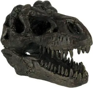 Tyrannosaurus Rex Dinosaur Skull Fossil Statue Small