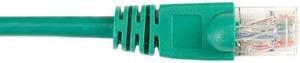 Black Box JPB654 Office White Single-Gang Surfac E Mount Box