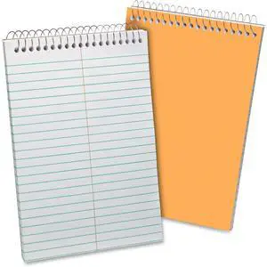 Ampad Gregg-ruled Recycled White Steno Book