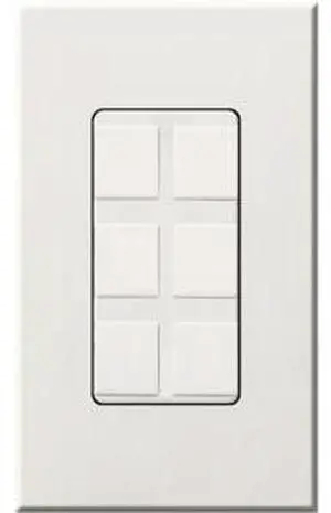 Lutron NT Wall Jack with Cat5e Connector