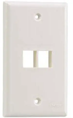 PANDUIT 2 Socket Netkey Faceplate