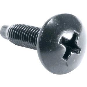Middle Atlantic Products HG500 Rackscrews, 10-32, Black Gloss Middle Atlantic Products HG500 Rackscrews, 10-32, Black Gloss