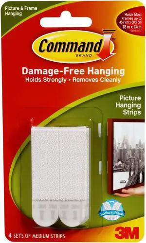 Command Damage-free Picture Hanging Strips