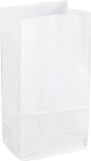 Sparco White Kraft Paper Bags
