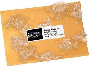 Avery WeatherProof Mailing Labels with TrueBlock Technology