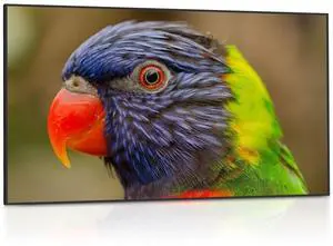 DynaScan 75" 2,500 Nit High Brightness LCD DS751LT4