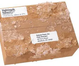 Avery WeatherProof Mailing Labels with TrueBlock Technology
