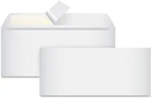 Business Source No. 10 Peel-to-seal Envelopes