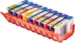 HEG PFI300 PRO300 Ink Cartridge Replacement for Canon Pixma PRO300 10 Color Printer,Show Ink Capacity PFI-300 pro 300 Ink Tank Pigment Ink (10 Pack)